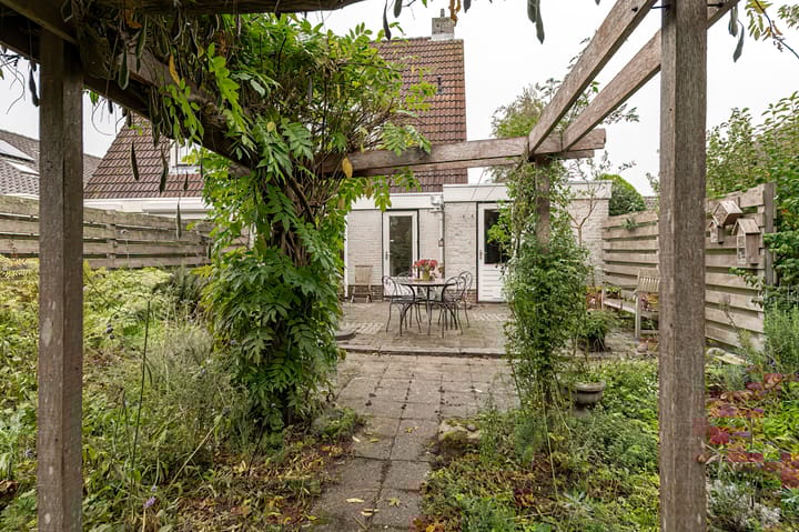 Foto 19 van Pinksterbloem 29