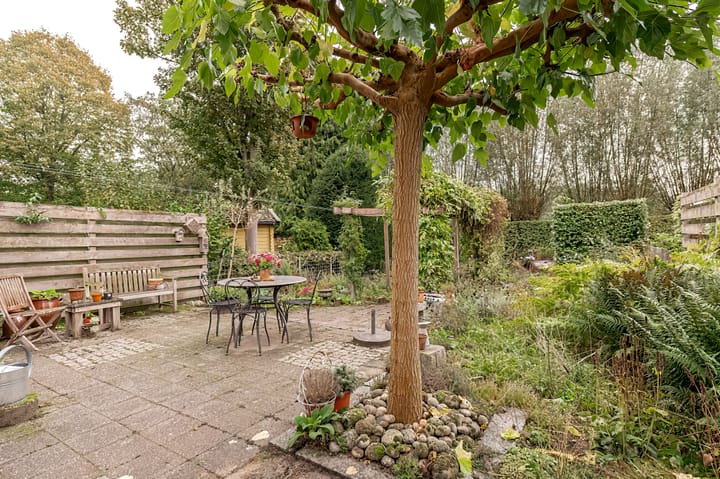 Foto 20 van Pinksterbloem 29