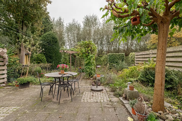 Foto 21 van Pinksterbloem 29