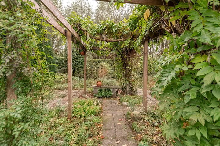 Foto 22 van Pinksterbloem 29