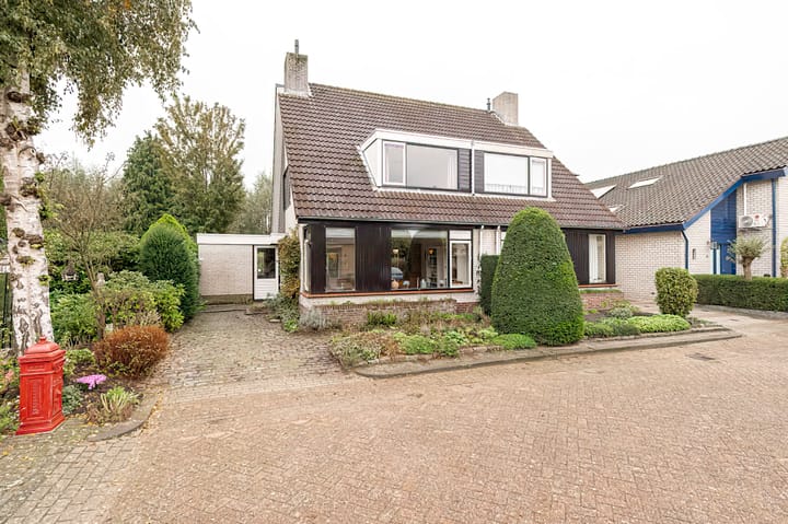 Foto 34 van Pinksterbloem 29