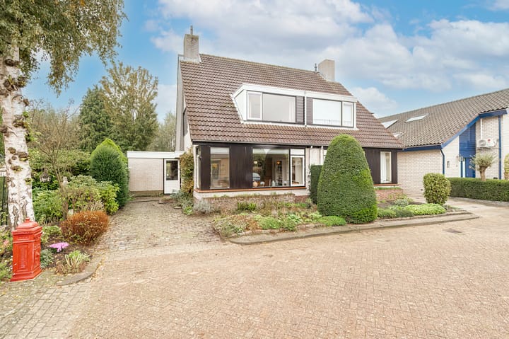 Foto 36 van Pinksterbloem 29