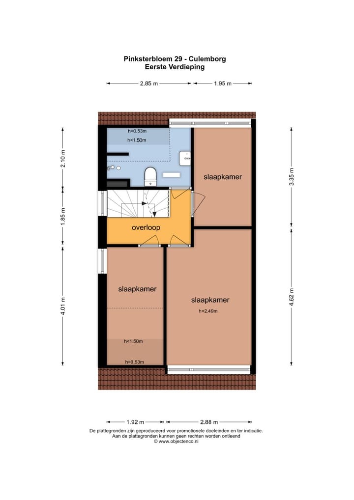 Foto 41 van Pinksterbloem 29