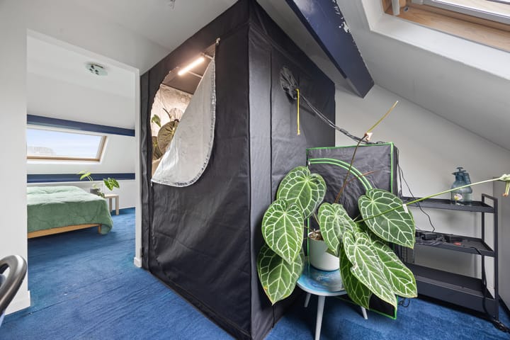 Foto 41 van Egelantierlaan 33