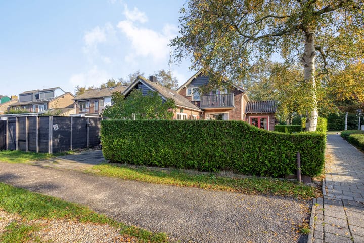 Foto 53 van Wilhelminalaan 58