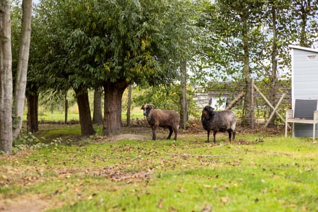 Oudekamerseweg 12 tertiary image