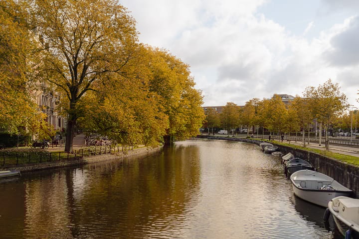 Foto 19 van Ruyschstraat 77-4