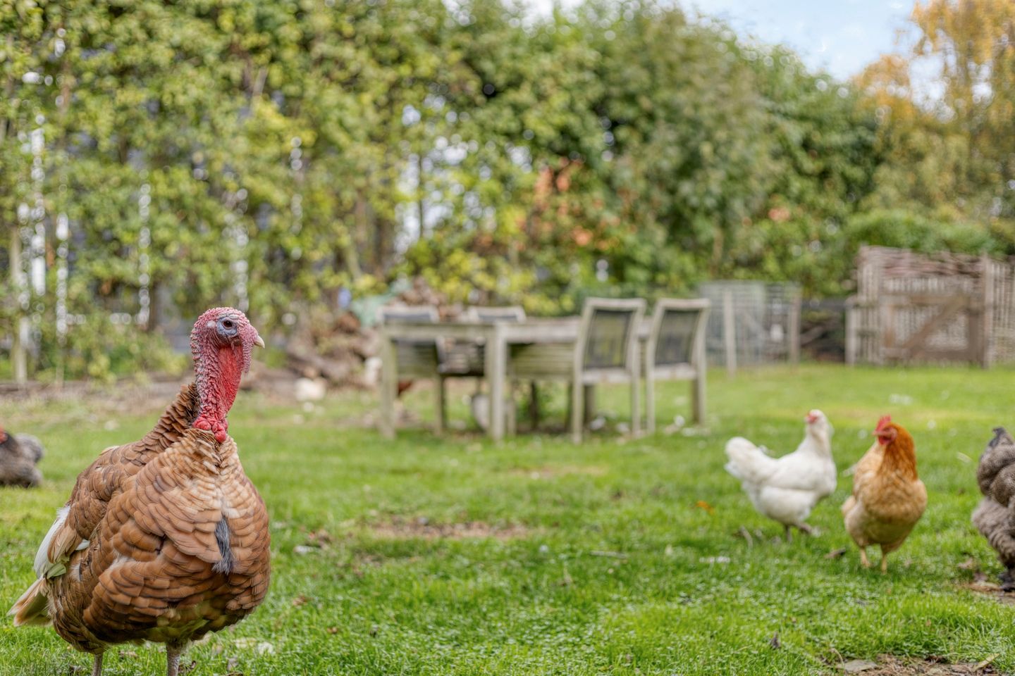 Foto 44 van Oudekamerseweg 12