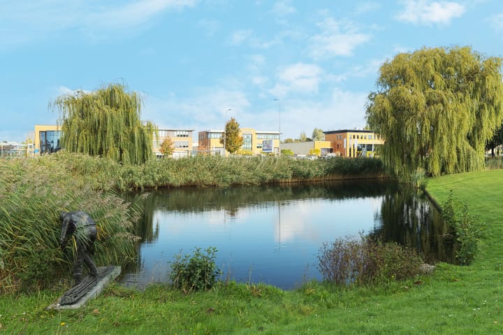 Foto 32 van Cuypersdreef 90