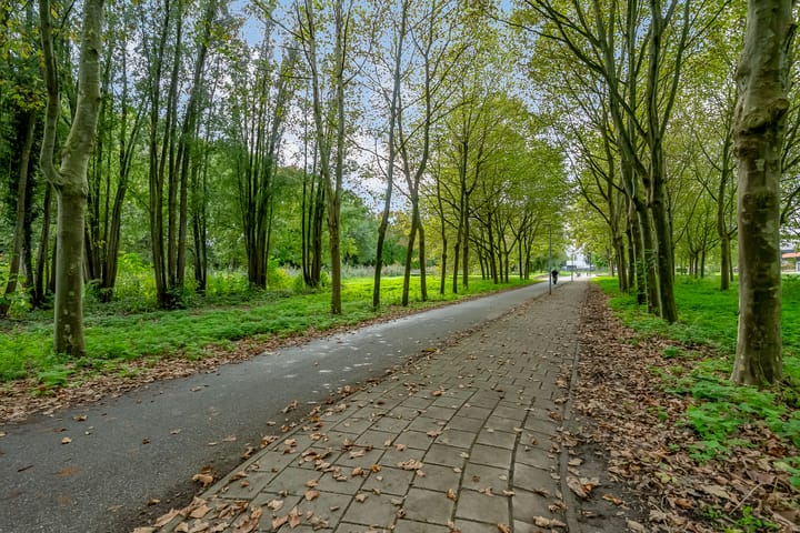 Photo 39 of Terneuzenstraat 10