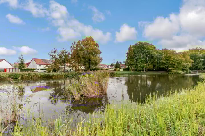 Photo 42 of Terneuzenstraat 10