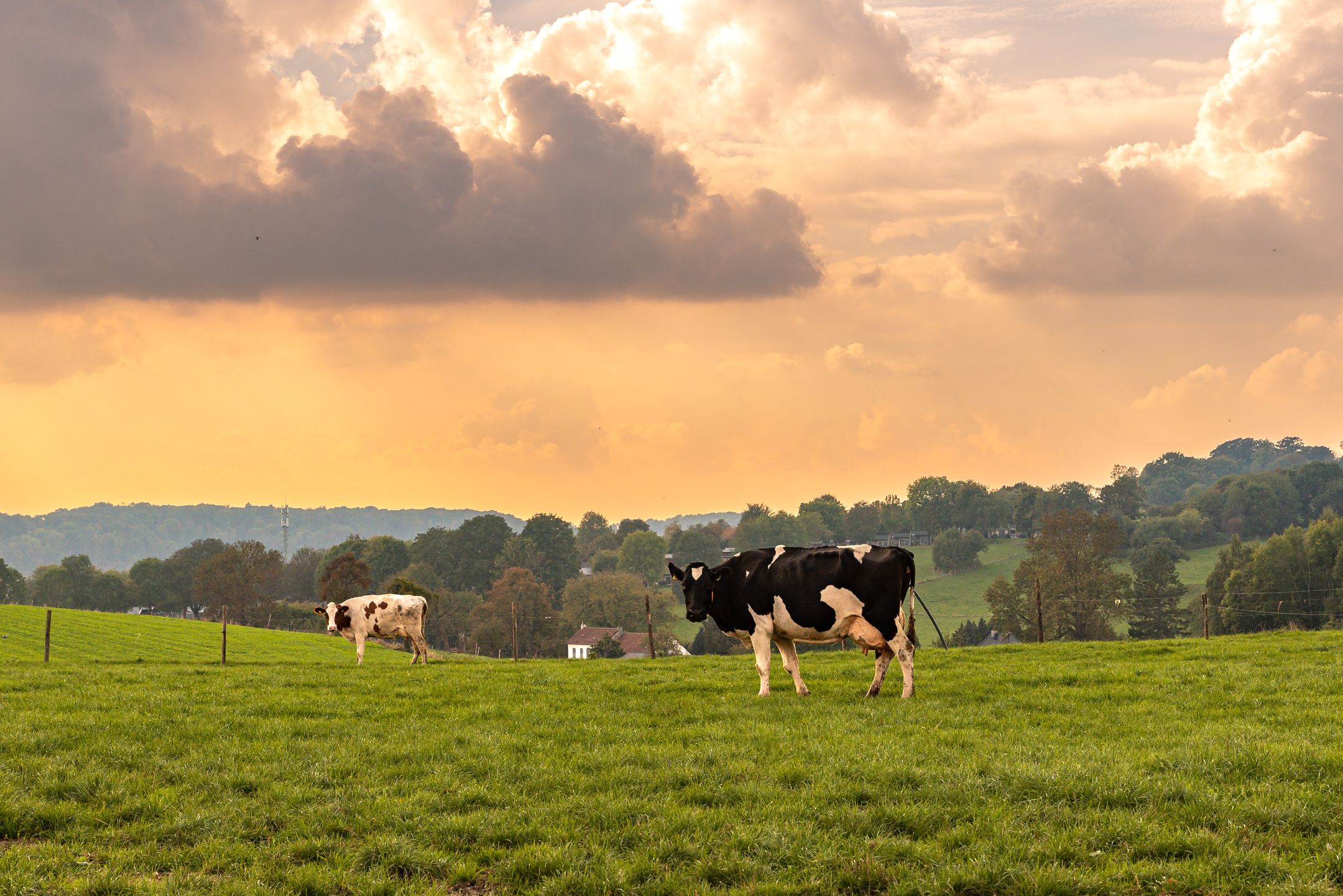 Foto 39 van Valkenburgerweg 128-V216