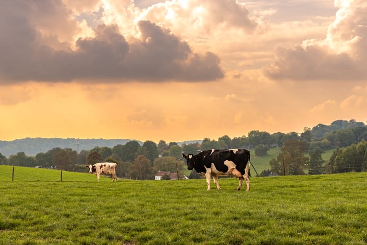 Photo 39 of Valkenburgerweg 128-V216