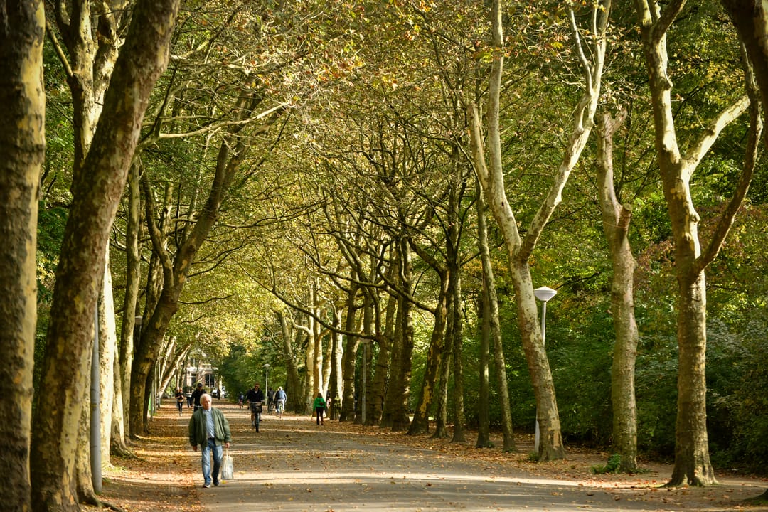 Foto 2 van Overtoom 509-1