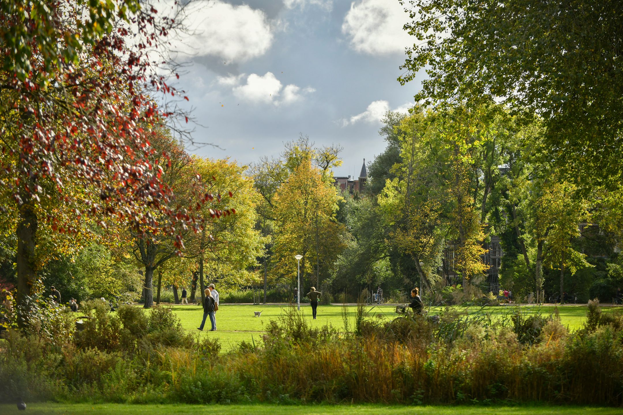 Foto 24 van Overtoom 509-1