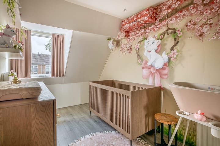 Foto 26 van Buffelstraat 163