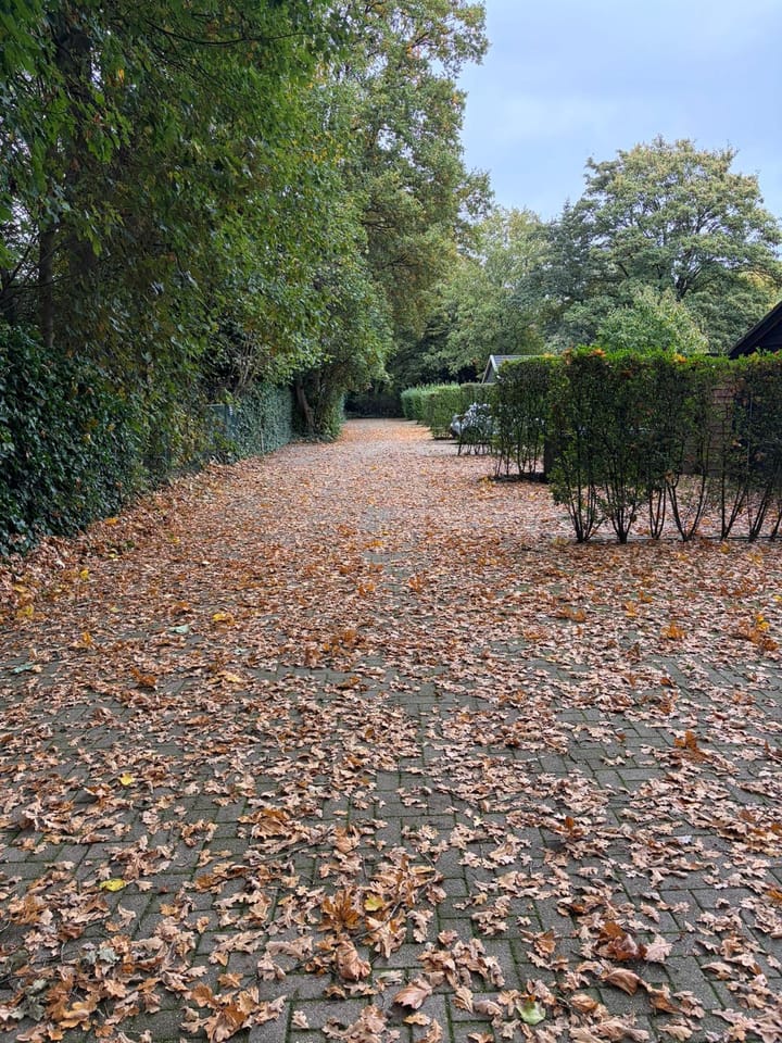 Photo 5 of Tilburgseweg 156