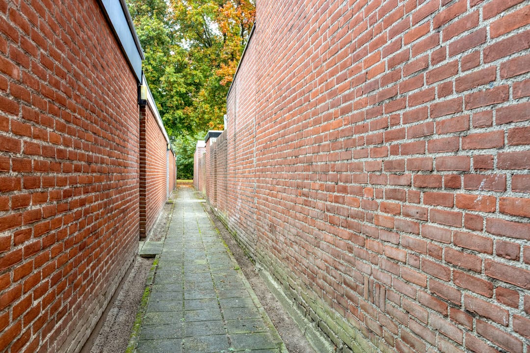 Photo 28 of Adelaertstraat 25