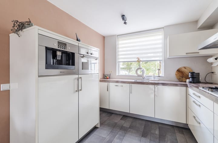 Photo 3 of Meerkoet 51