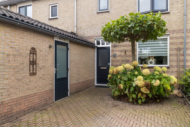 Photo 6 of Meerkoet 51