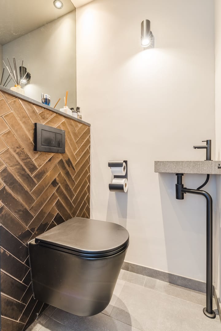 Photo 8 of Meerkoet 51