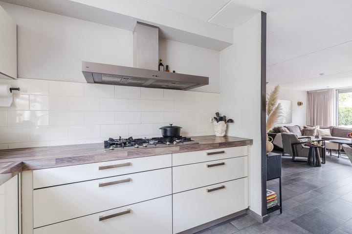 Photo 16 of Meerkoet 51