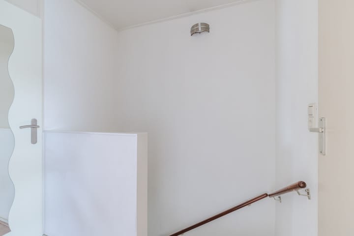 Photo 30 of Meerkoet 51