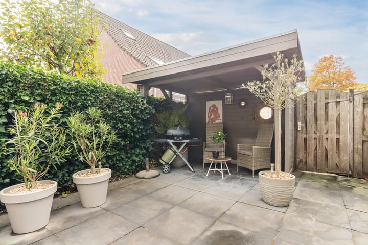 Photo 37 of Meerkoet 51