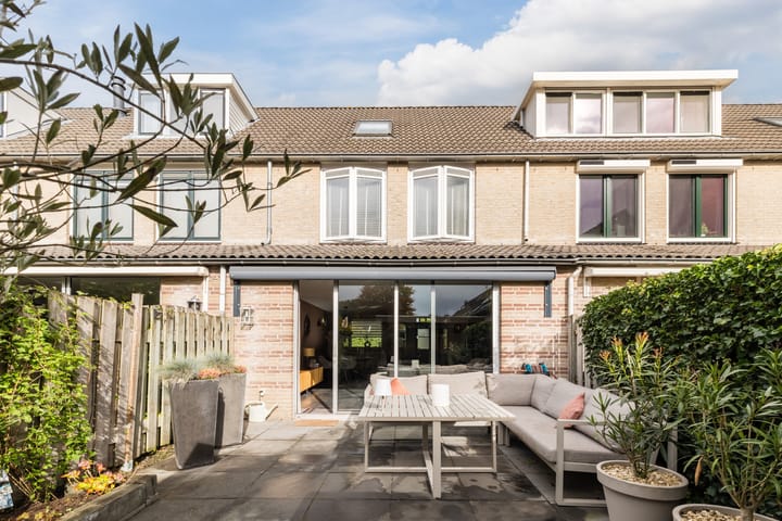 Photo 40 of Meerkoet 51