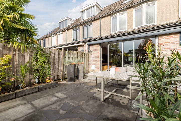 Photo 41 of Meerkoet 51