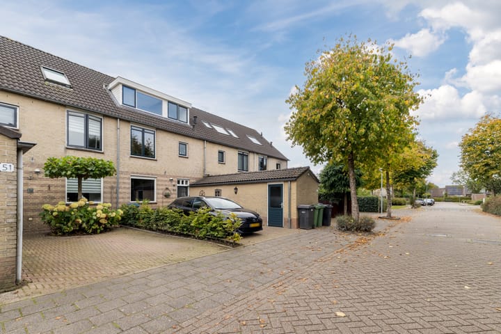 Photo 43 of Meerkoet 51