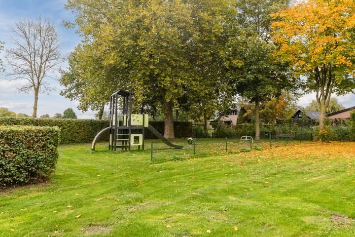 Photo 45 of Meerkoet 51