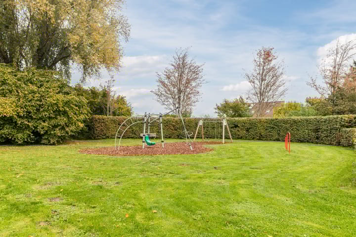 Photo 46 of Meerkoet 51