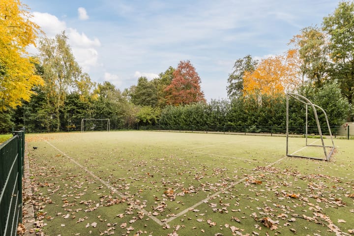 Photo 47 of Meerkoet 51