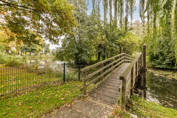 Photo 48 of Meerkoet 51