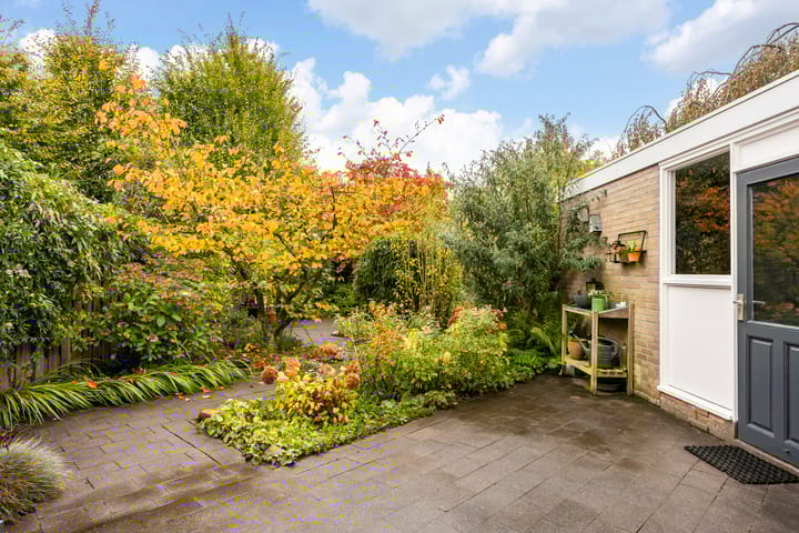 Foto 25 van Kolthofhorst 29