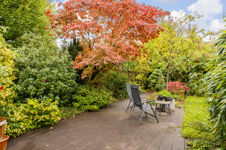 Foto 26 van Kolthofhorst 29