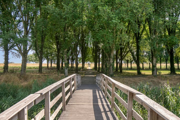 Photo 28 of Steenplaat 20