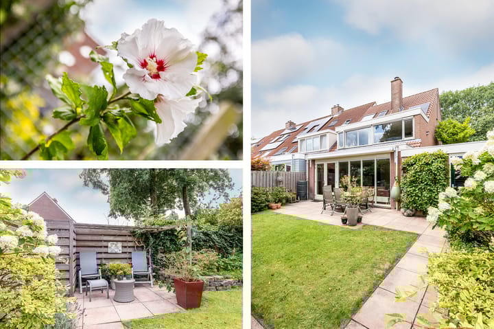 Foto 6 van Rietsingel 59