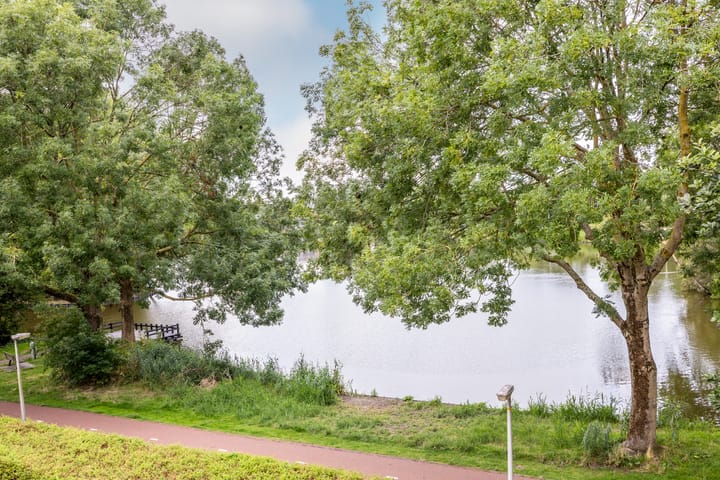 Foto 37 van Rietsingel 59