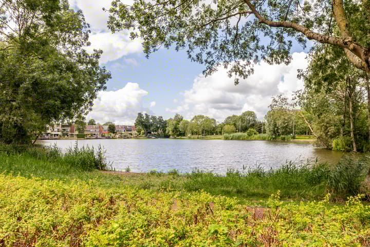 Foto 50 van Rietsingel 59