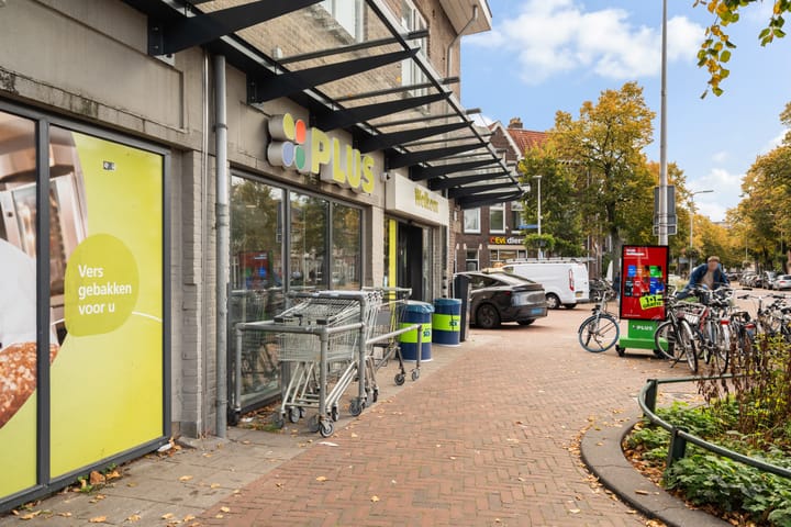 Foto 59 van Van der Helststraat 3