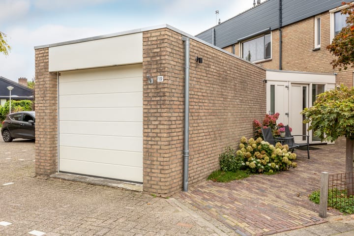 Foto 7 van Pijlkruid 19