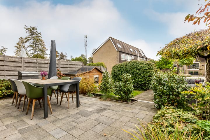 Foto 48 van Pijlkruid 19