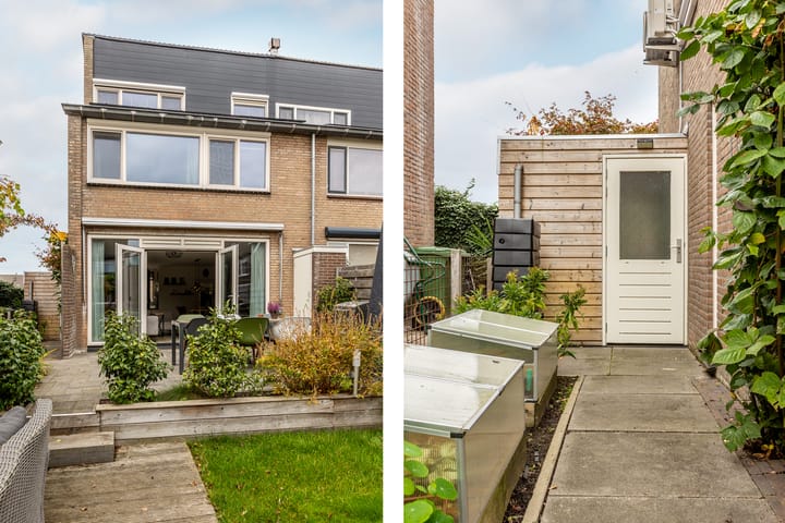 Foto 50 van Pijlkruid 19