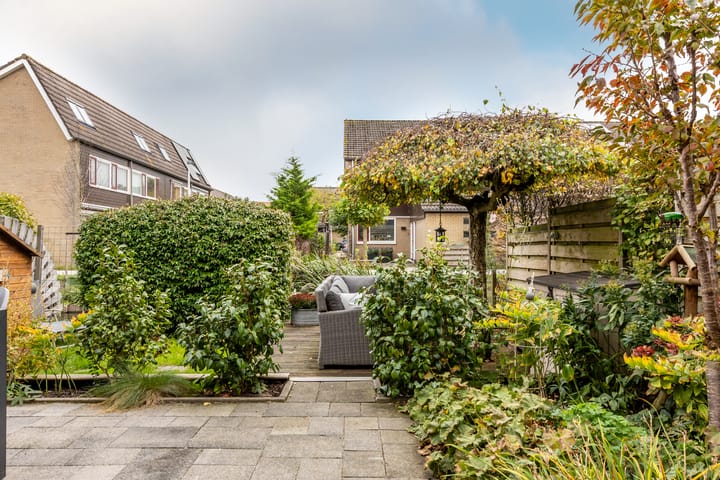 Foto 52 van Pijlkruid 19