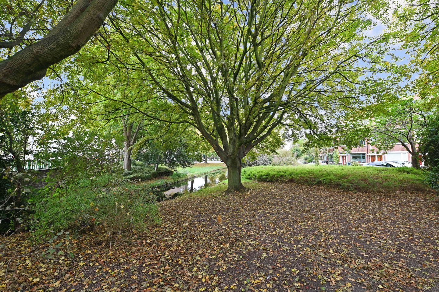 Foto 50 van Jacob Catsstraat 142