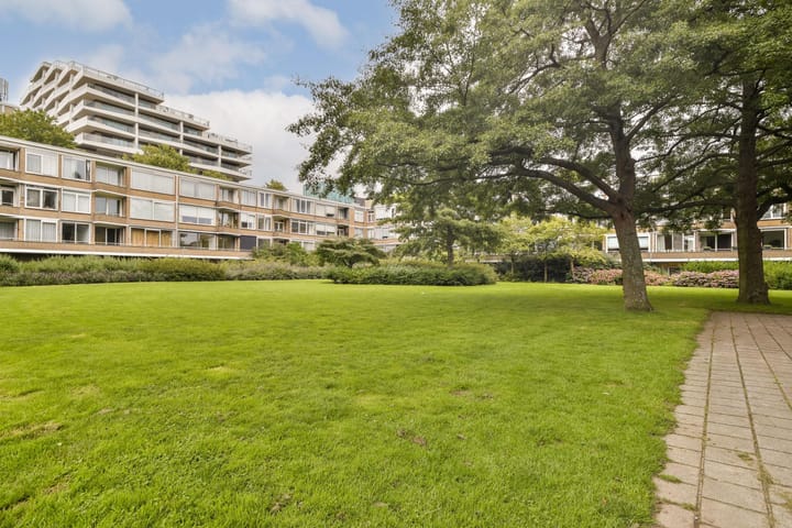 Photo 11 of Meander 647