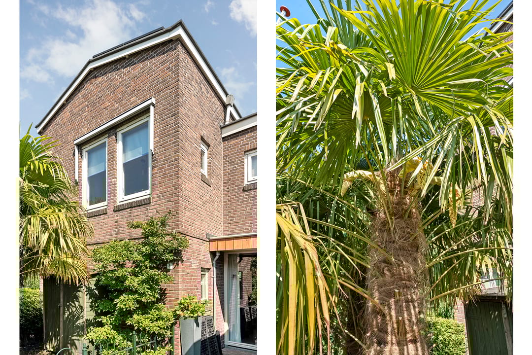 Foto 38 van Grasdorpstraat 1