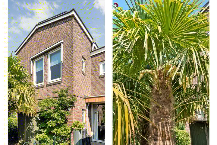 Foto 38 van Grasdorpstraat 1